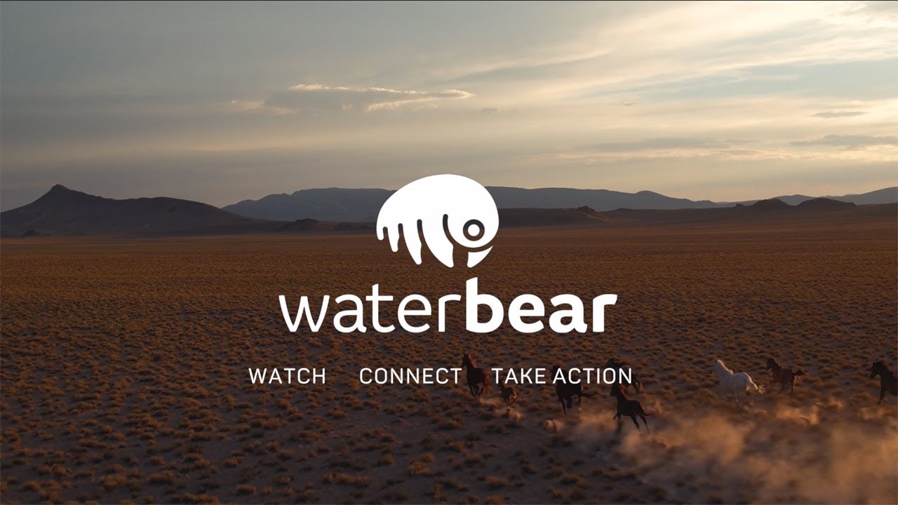 WaterBear Network launches first linear channel on streaming service Samsung TV Plus